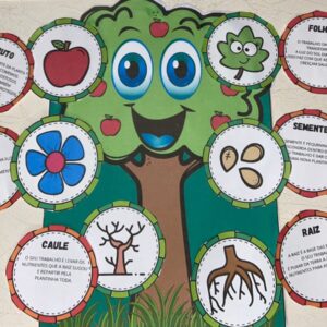 Luva  Partes  de uma Planta